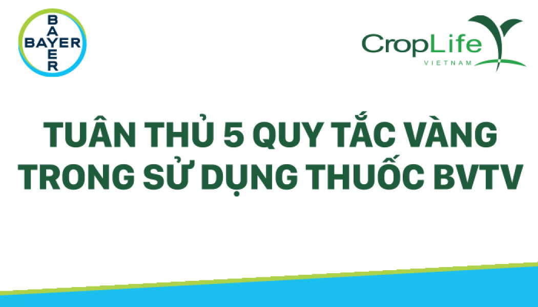 5 quy tắc vàng trong việc sữ dụng thuốc BVTV