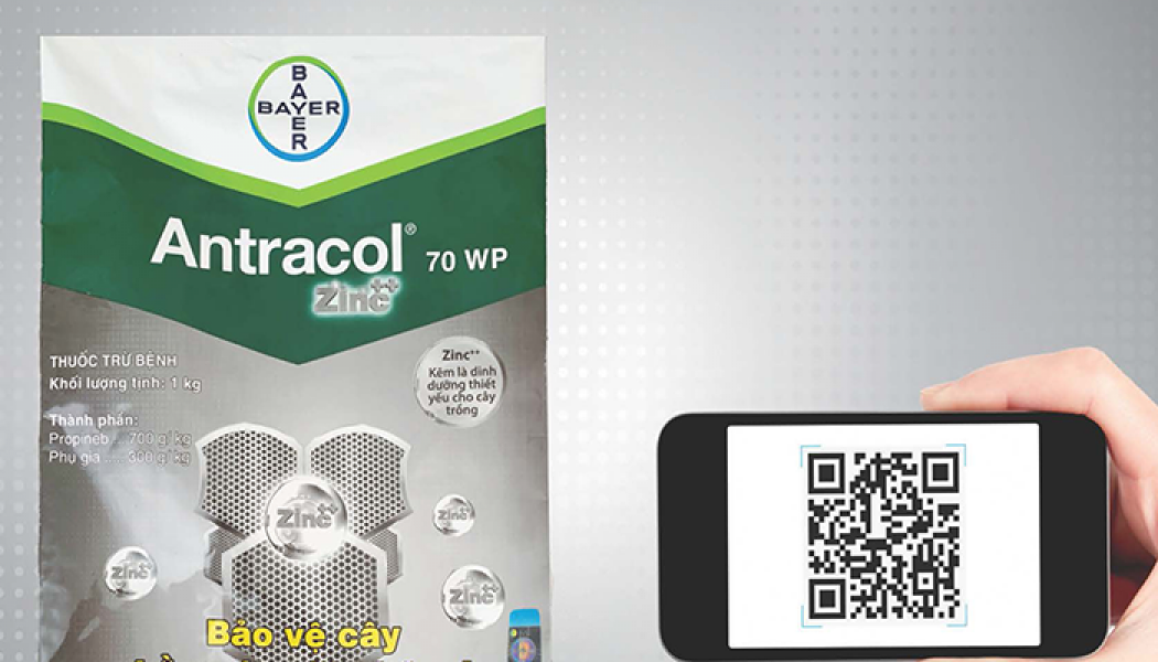 Antracol Thật Giả