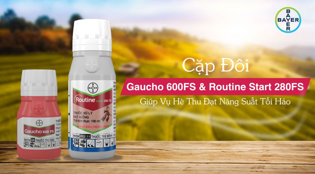 CÁC CẶP ĐÔI GIÚP VỤ HÈ THU ĐẠT NĂNG SUẤT TỐI HẢO