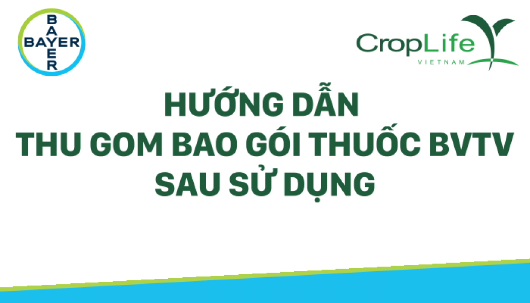 Hướng dẫn thu gom bao gói BVTV sau khi sữ dụng