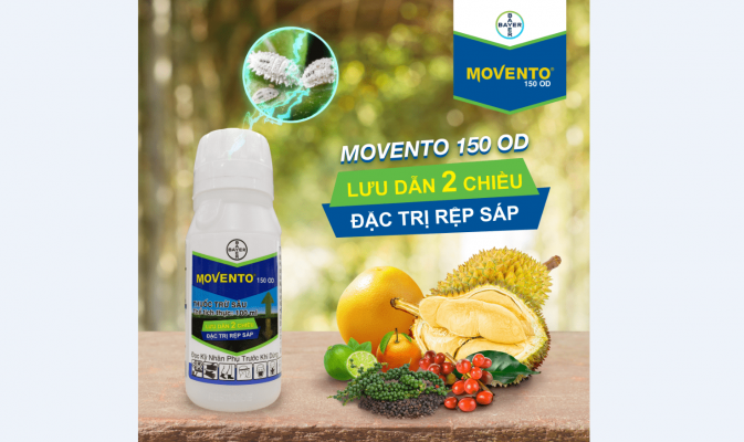 MOVENTO 150OD – CHIẾN THẦN ĐẶC TRỊ RỆP SÁP,  RỆP MUỘI, BỌ TRĨ 