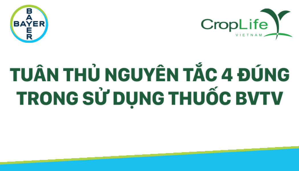 Nguyên tắc 4 đúng trong việc sữ dụng thuốc BVTV