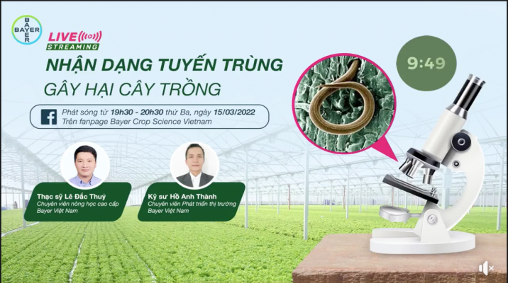 NHẬN DẠNG TUYẾN TRÙNG GÂY HẠI CÂY TRỒNG