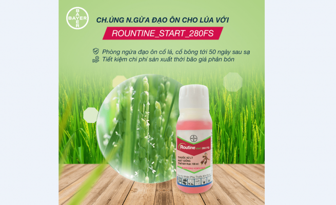 ROUTINE START 280FS – GIẢI PHÁP CHỦNG NGỪA ĐẠO ÔN CHO LÚA